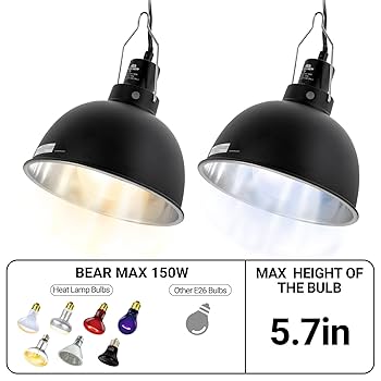 chama2 Amazon.com : DXOPHIEX 15 inch Dual Reptile Light Fixture